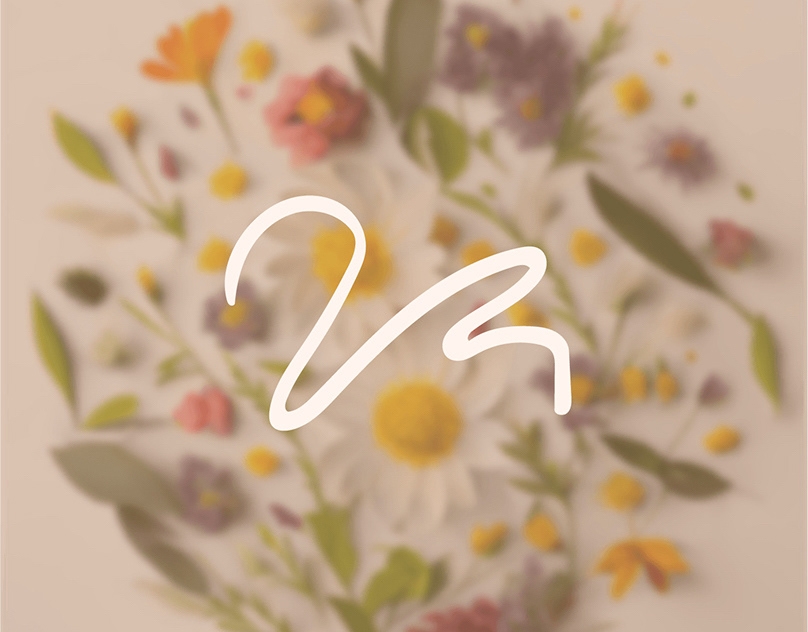 Rabys-Home-Identidad-Visual